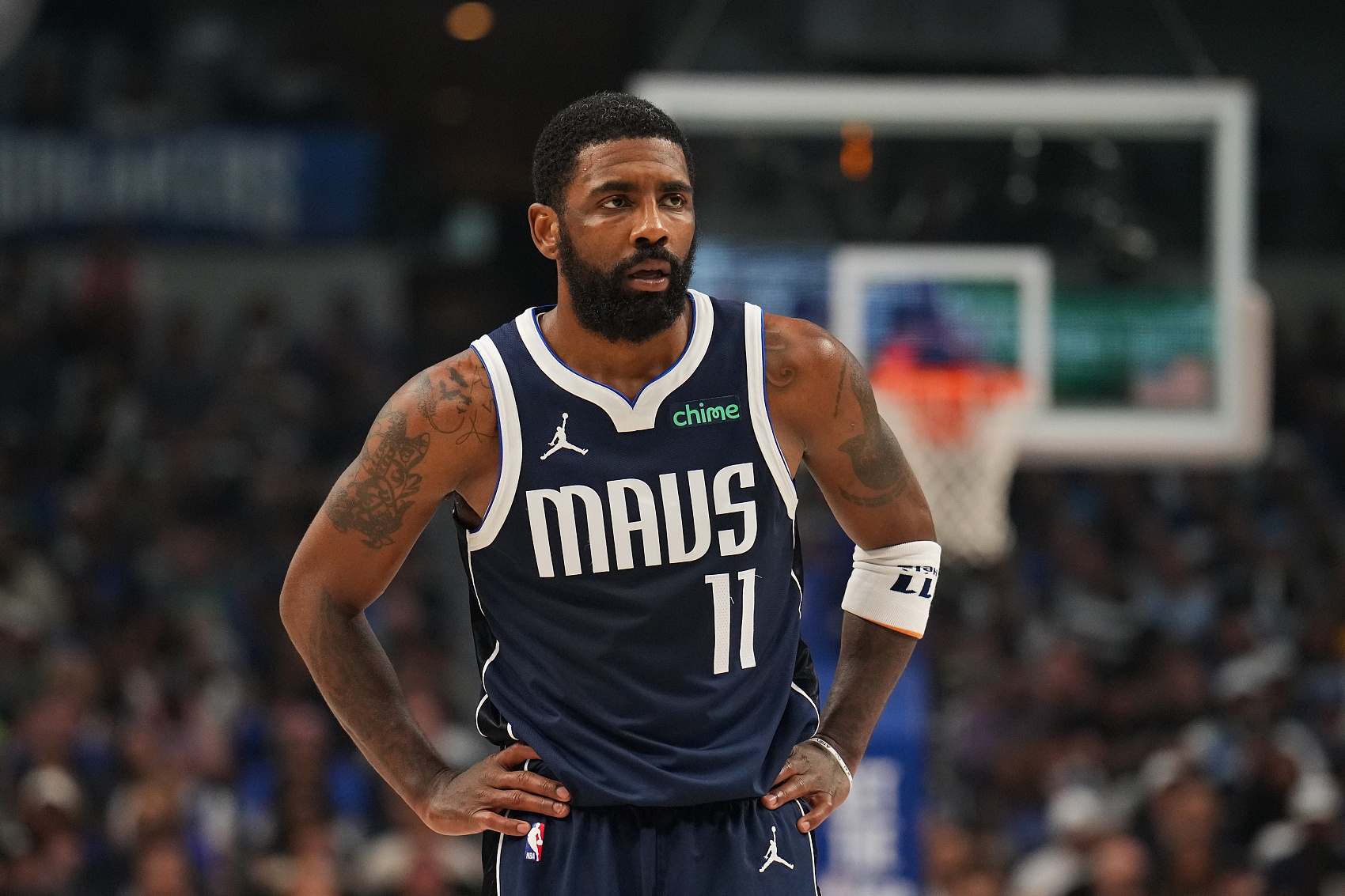 要求的不仅 要求的不仅