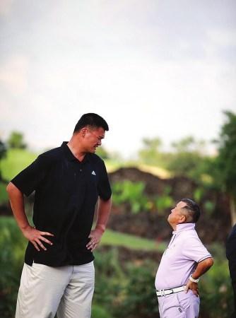 我们将从多 我们将从多