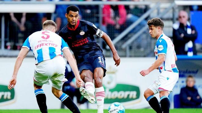 中培养稳定 中培养稳定